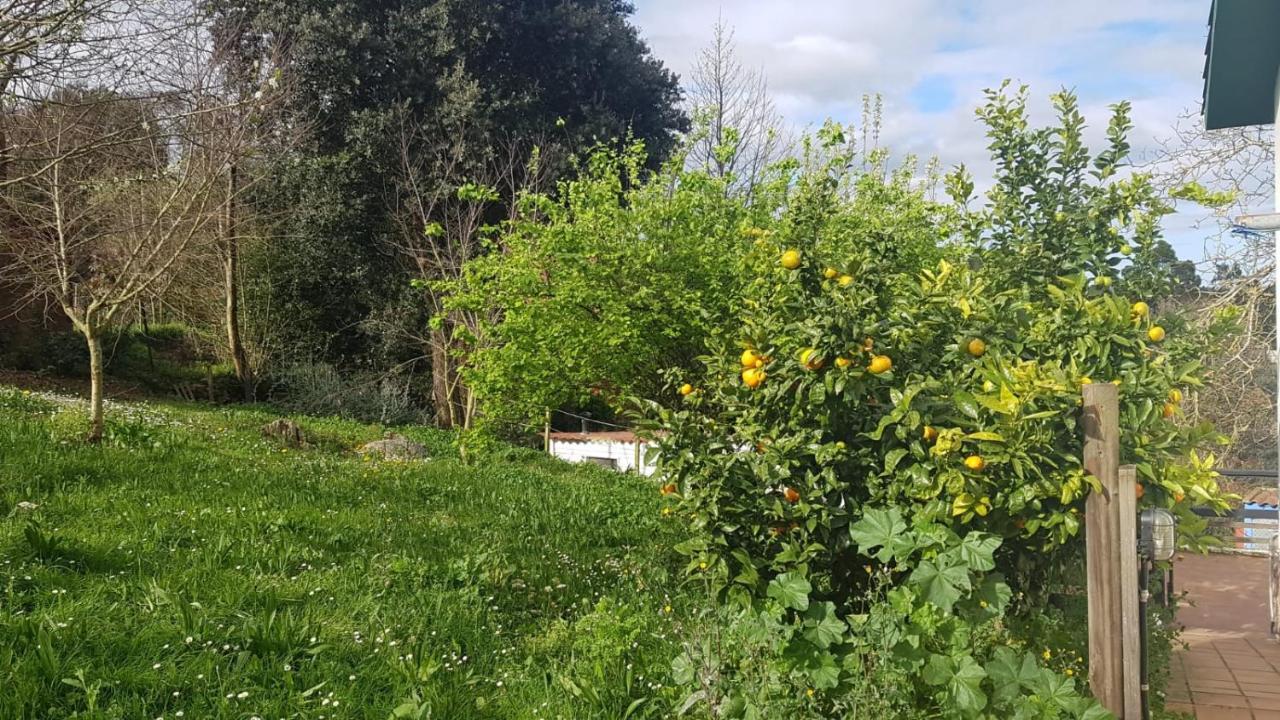 Vivienda Vacacional El Prau Villahormes Extérieur photo